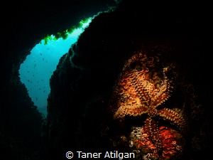 A small cavern from Neandros Island/Istanbul by Taner Atilgan 